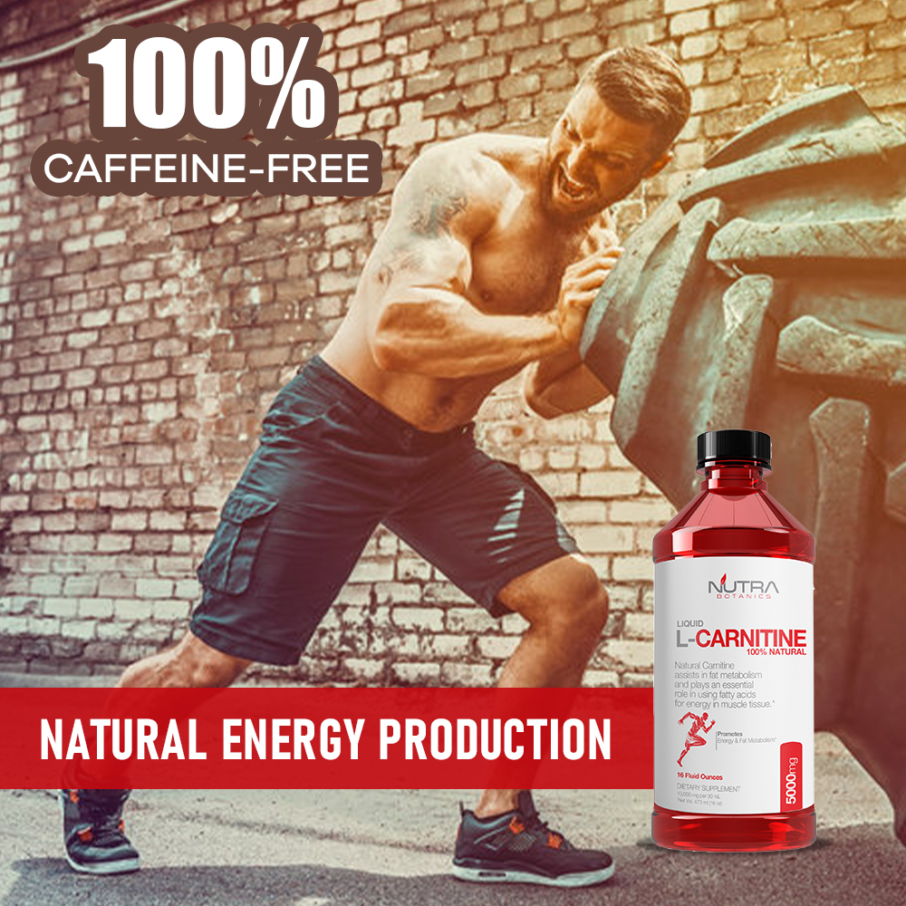 Liquid LCarnitine 5000mg Fat Burner, Convert Fat to Energy VitaminMall